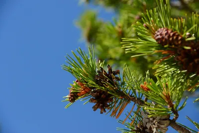 DSC_0186 (Large).JPG